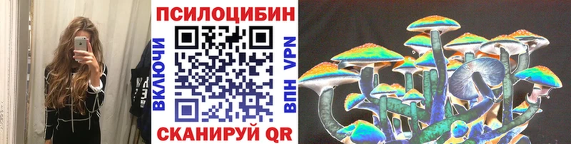 Купить  Вышний Волочёк  Псилоцибиновые грибы мухоморы 